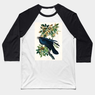 Raven from Birds of America (1827) Baseball T-Shirt